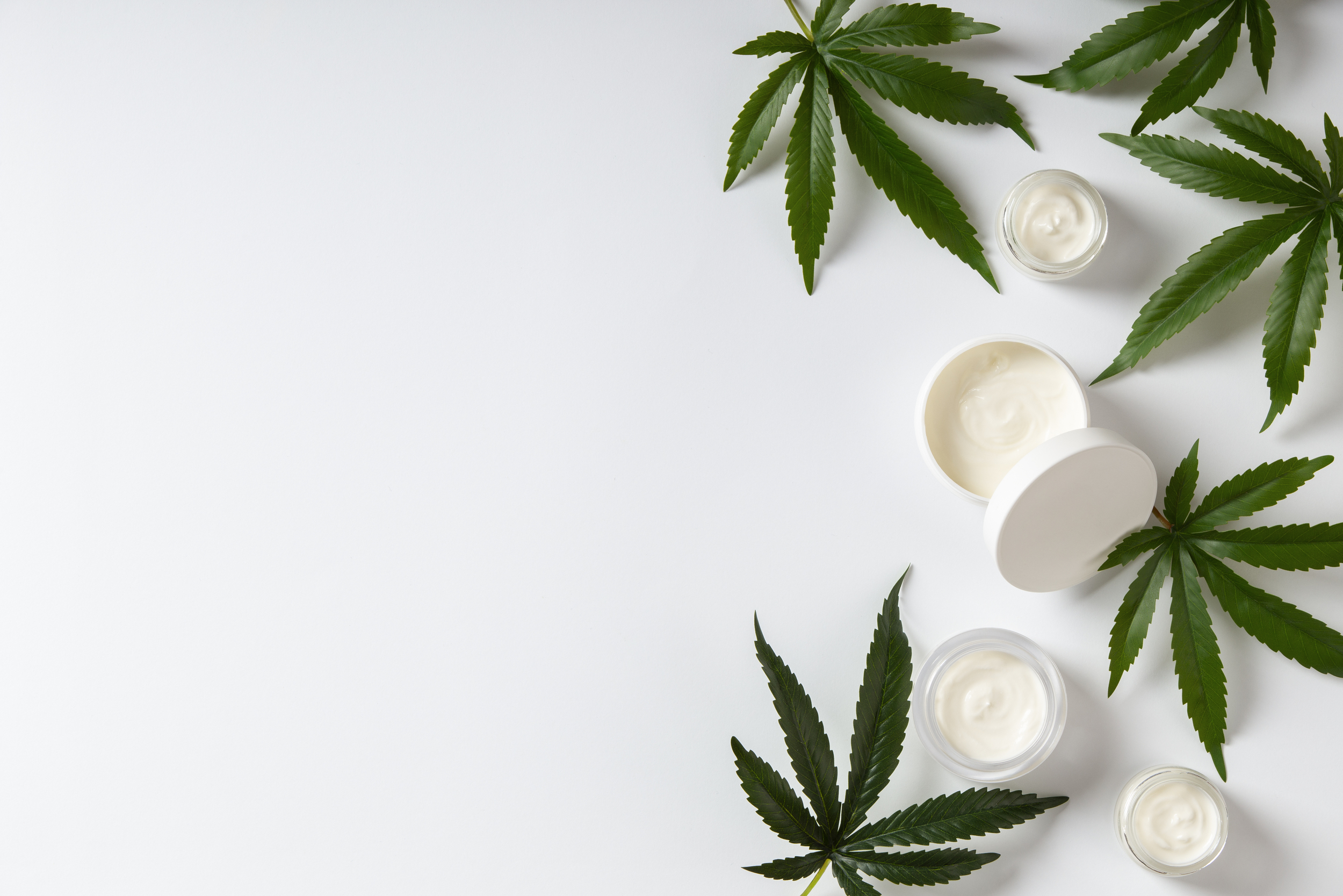 Cosmética y vegetación, imagen de marca de Organic Greens